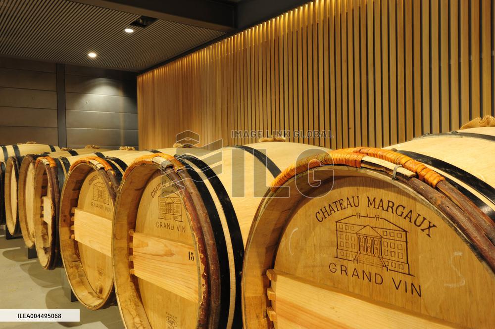 Illustration - Vin Medoc