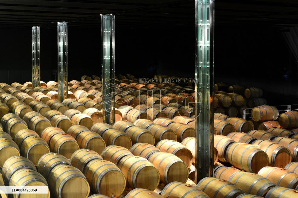 Illustration - Vin Medoc