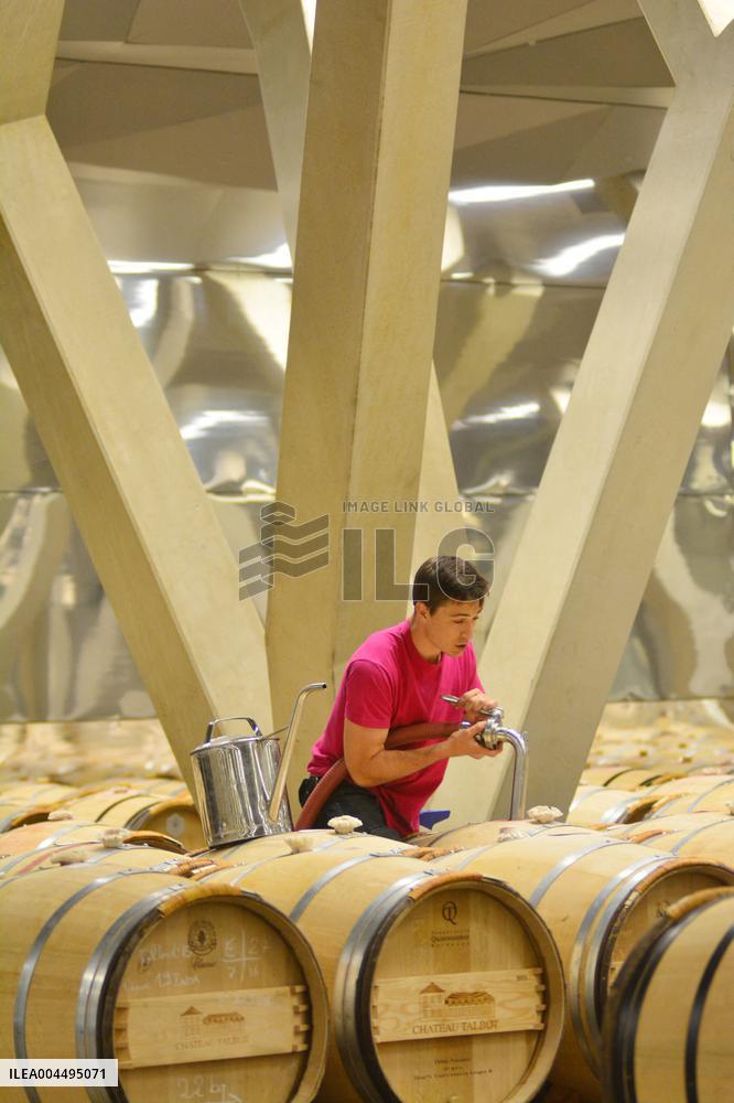 Illustration - Vin Medoc