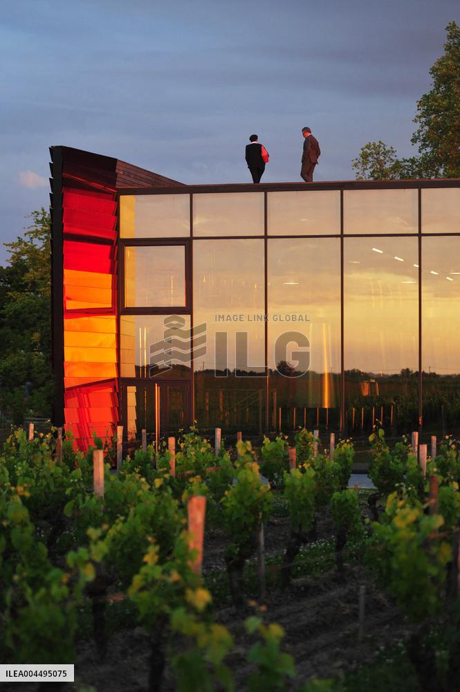 Illustration - Vin Medoc