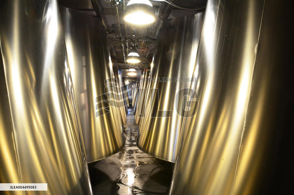 Illustration - Vin Medoc