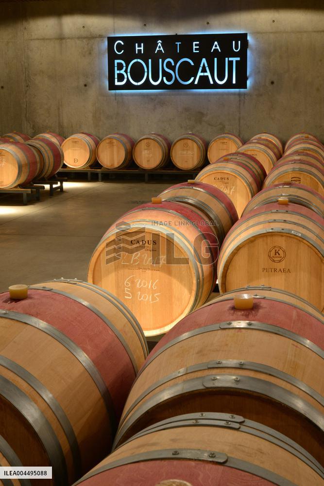 Illustration - Vin Medoc