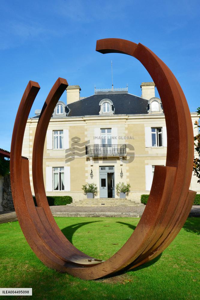 Illustration - Vin Medoc