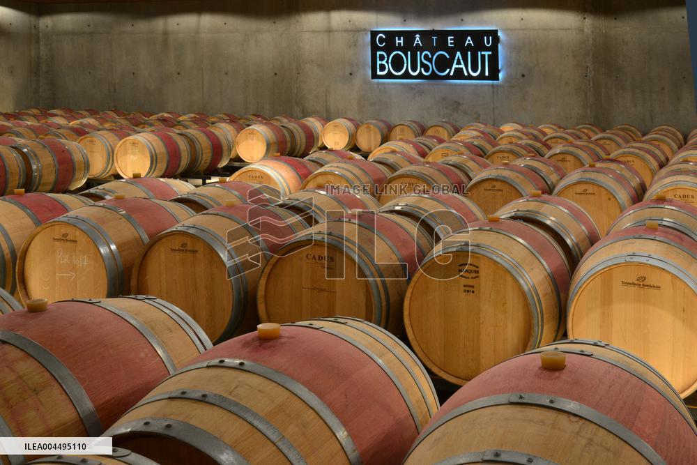 Illustration - Vin Medoc