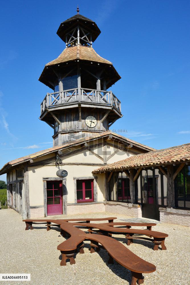 Illustration - Vin Medoc