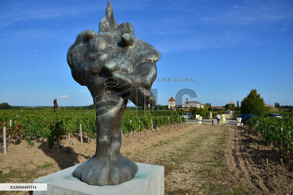 Illustration - Vin Medoc