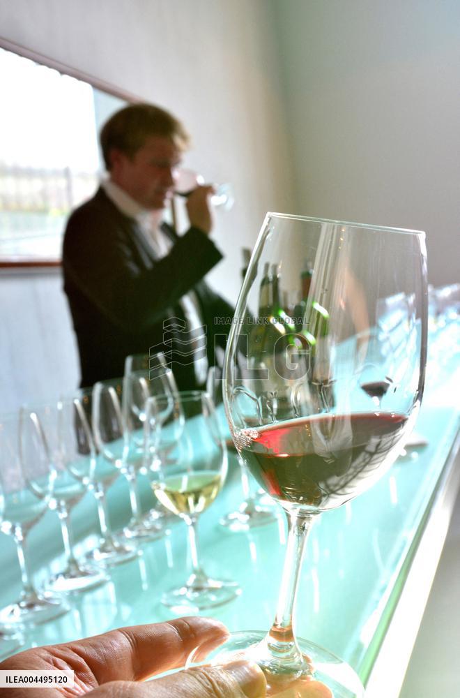 Illustration - Vin Medoc