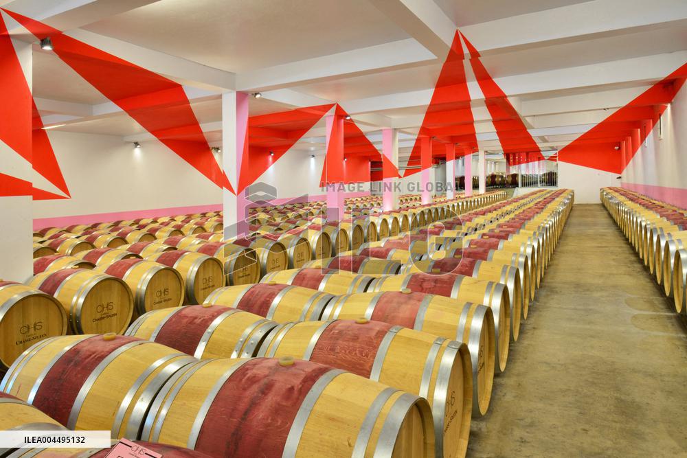 Illustration - Vin Medoc