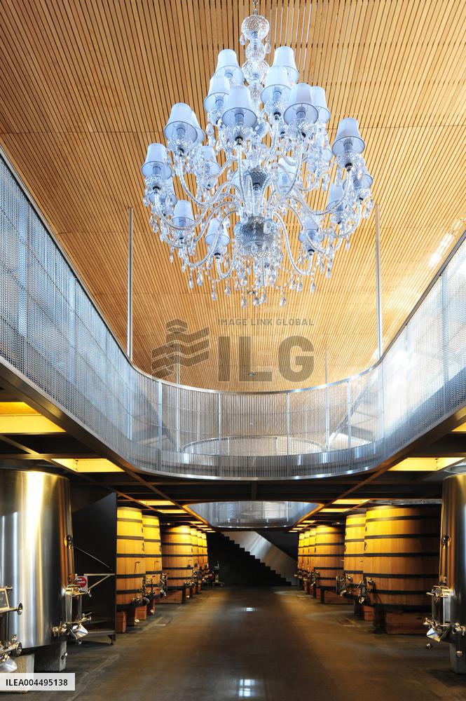 Illustration - Vin Medoc