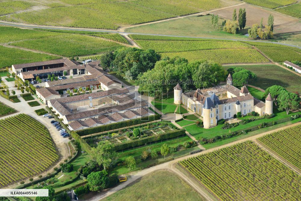 Illustration - Vin Medoc