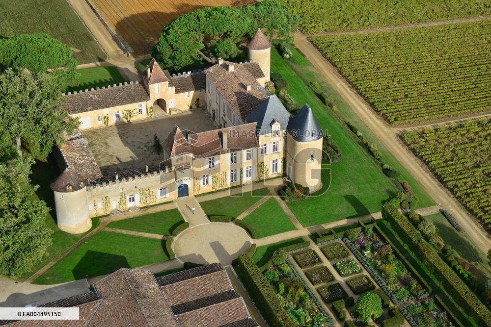 Illustration - Vin Medoc