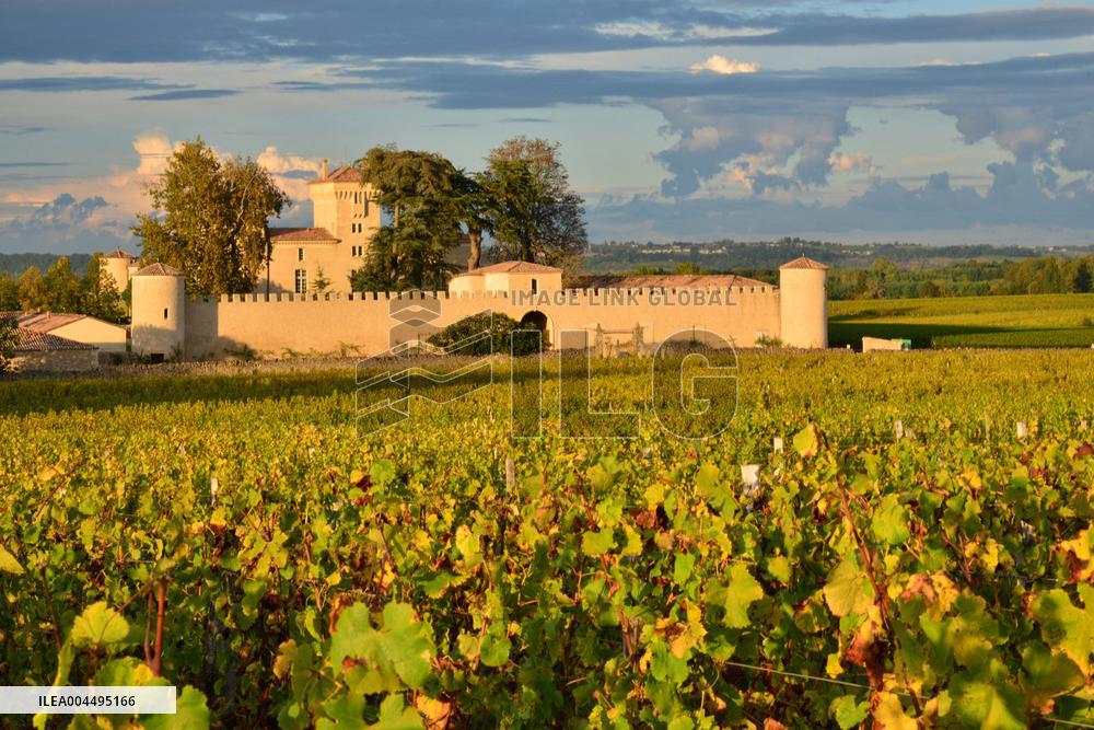 Illustration - Vin Medoc