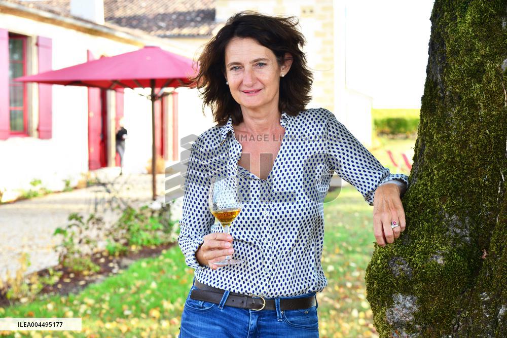 Illustration - Vin Medoc