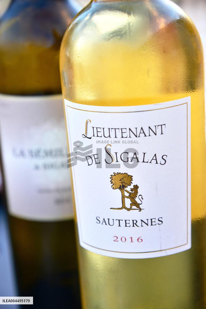 Illustration - Vin Medoc