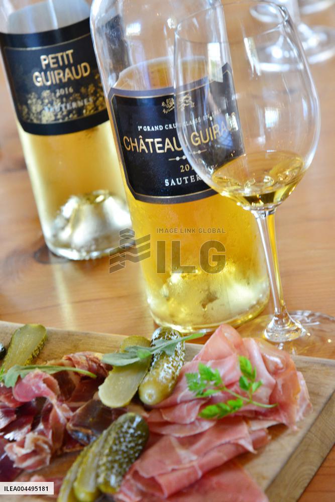 Illustration - Vin Medoc