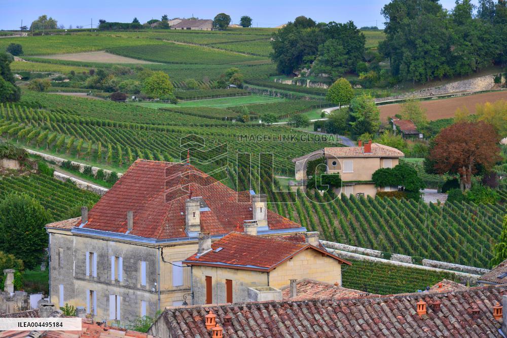 Illustration - Vin Medoc