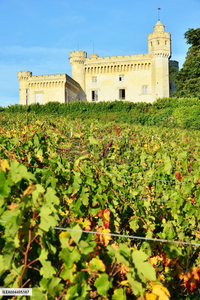 Illustration - Vin Medoc