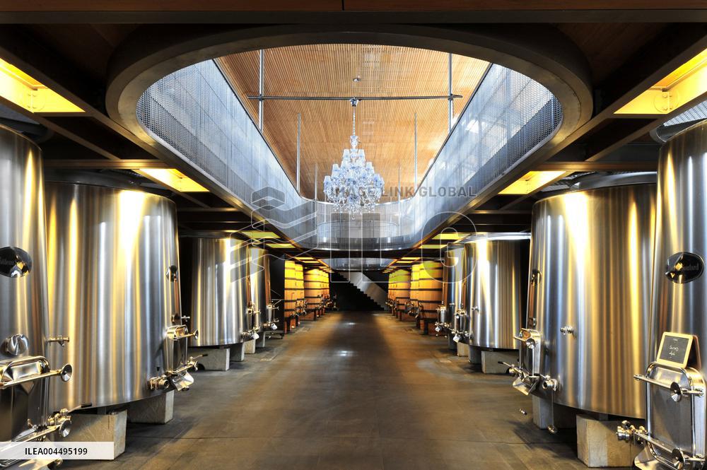 Illustration - Vin Medoc