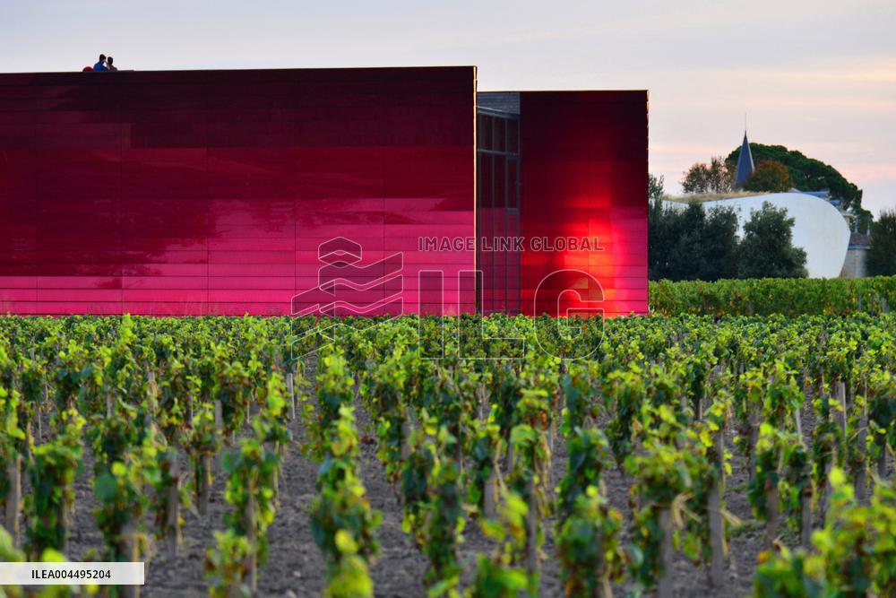 Illustration - Vin Medoc