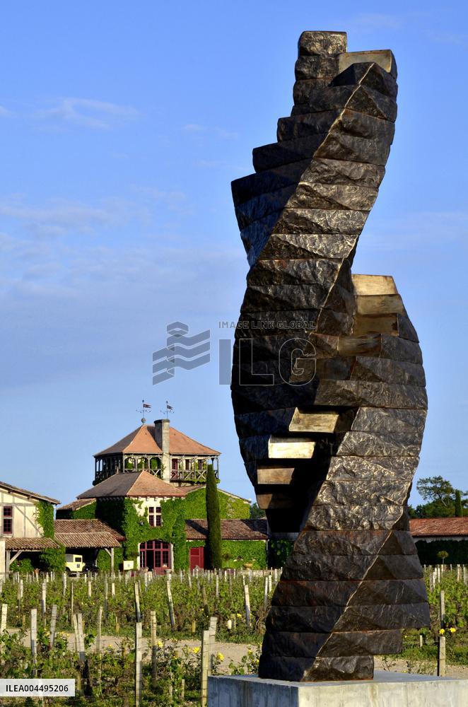 Illustration - Vin Medoc