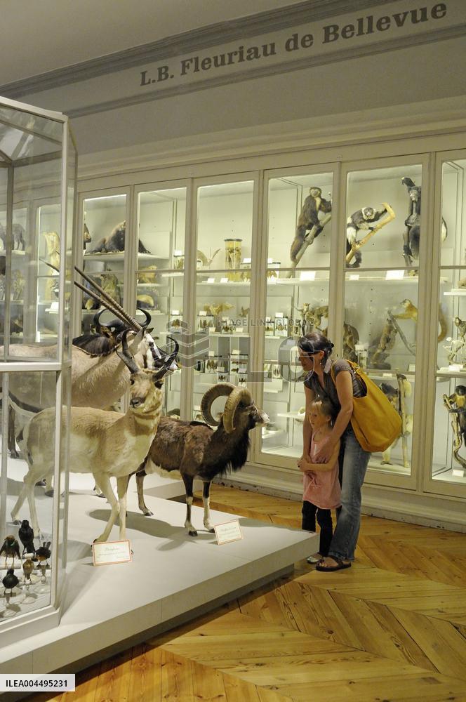 Illustration - La Rochelle