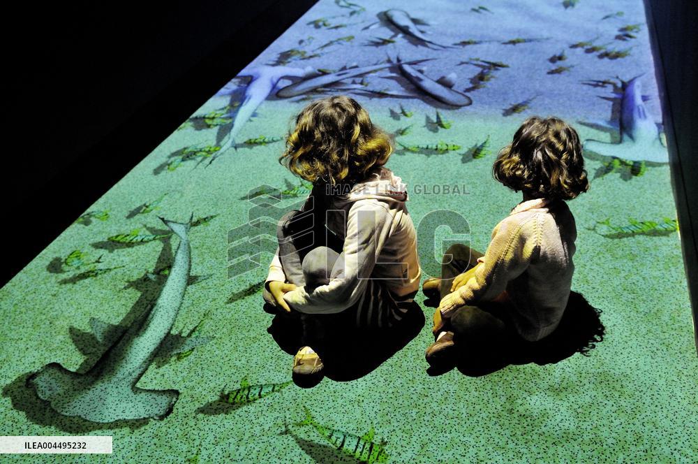 Illustration - La Rochelle