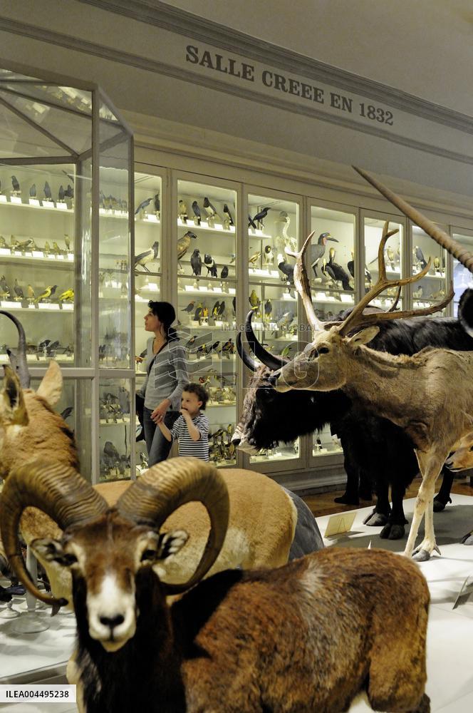 Illustration - La Rochelle