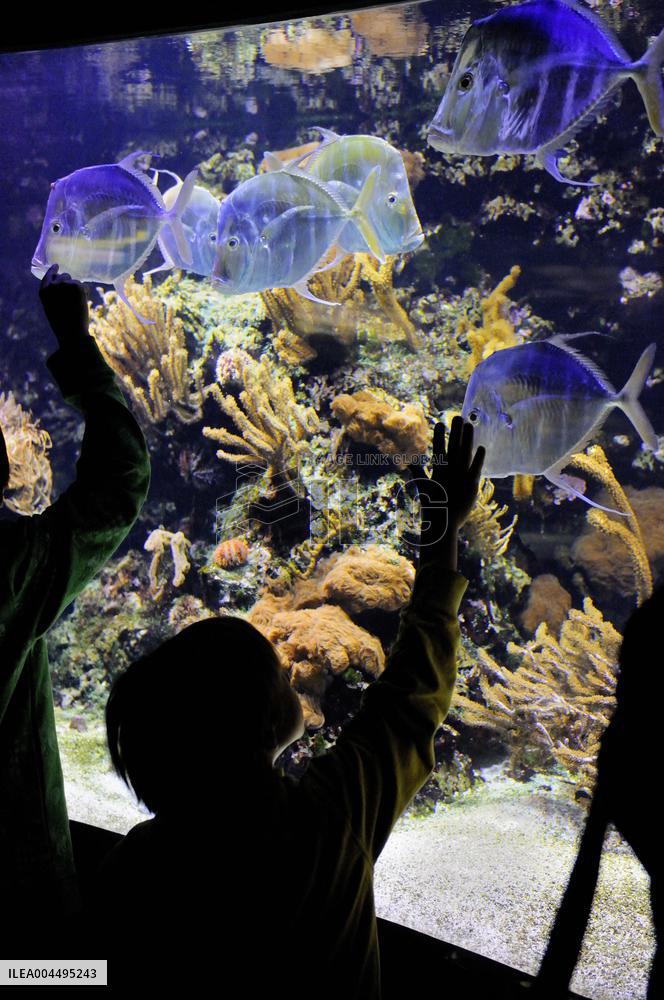 Illustration - La Rochelle