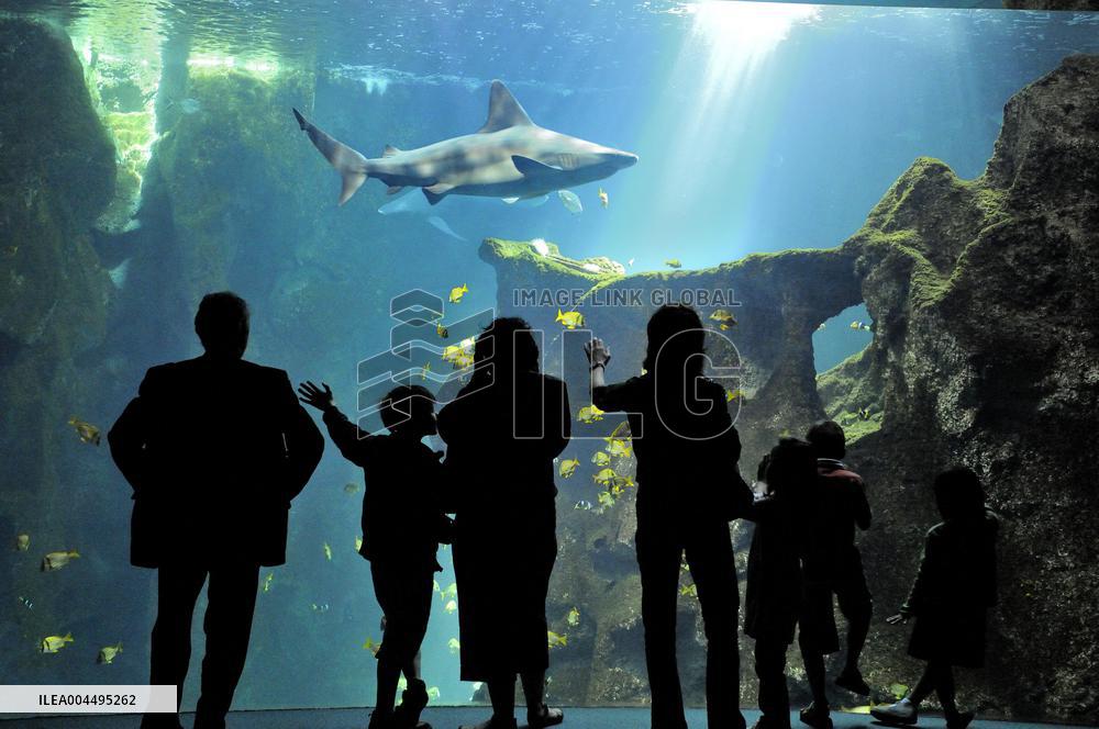 Illustration - La Rochelle