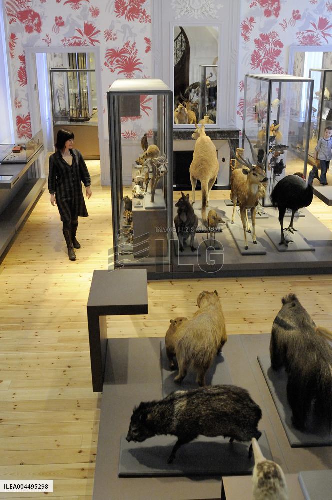 Illustration - La Rochelle