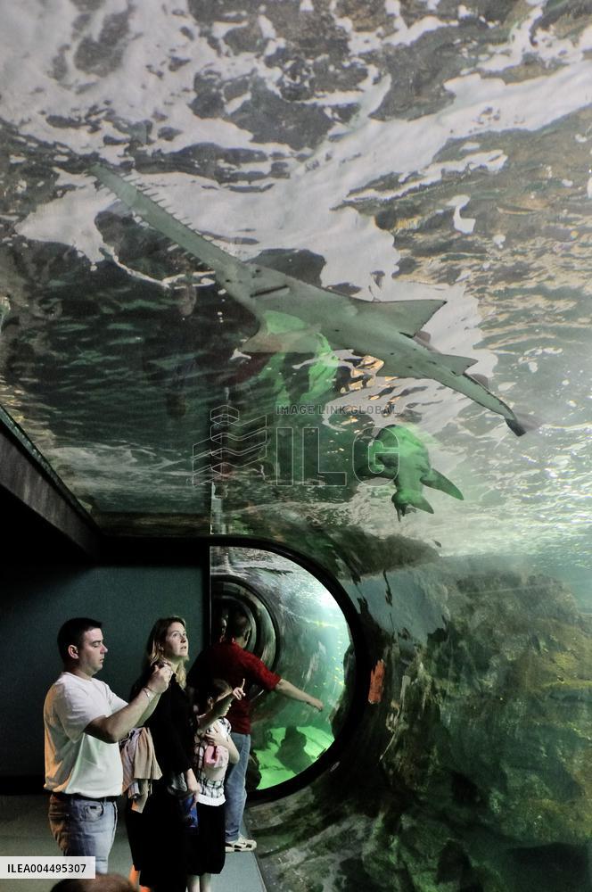 Illustration - La Rochelle