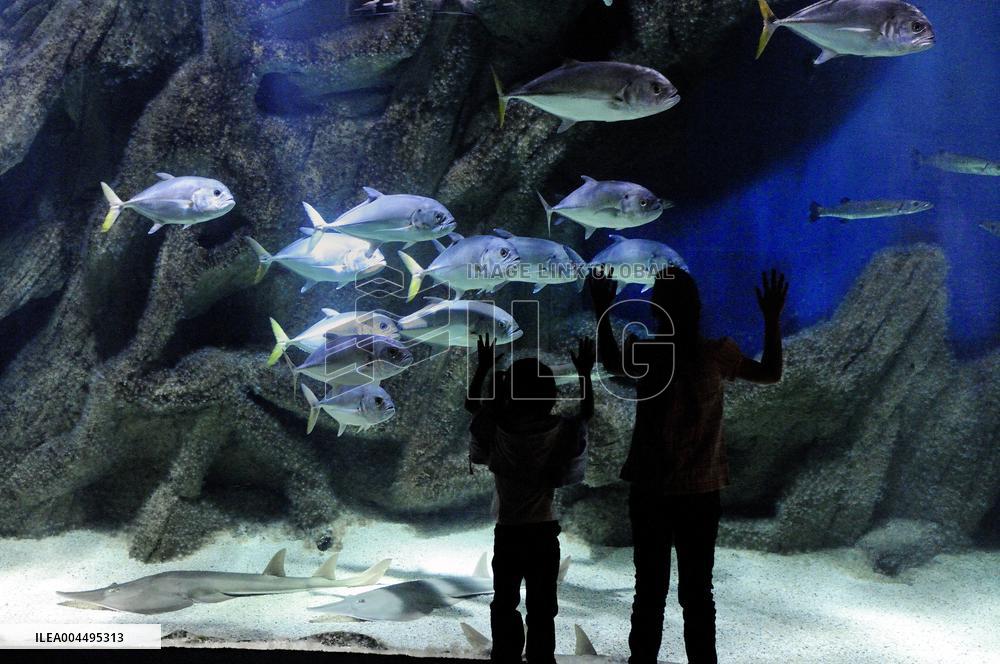 Illustration - La Rochelle