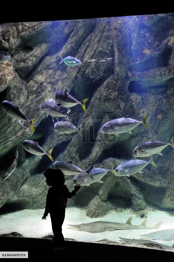 Illustration - La Rochelle