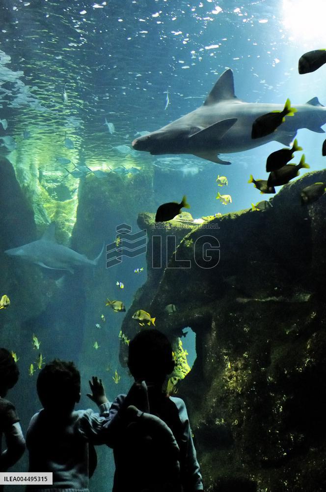 Illustration - La Rochelle