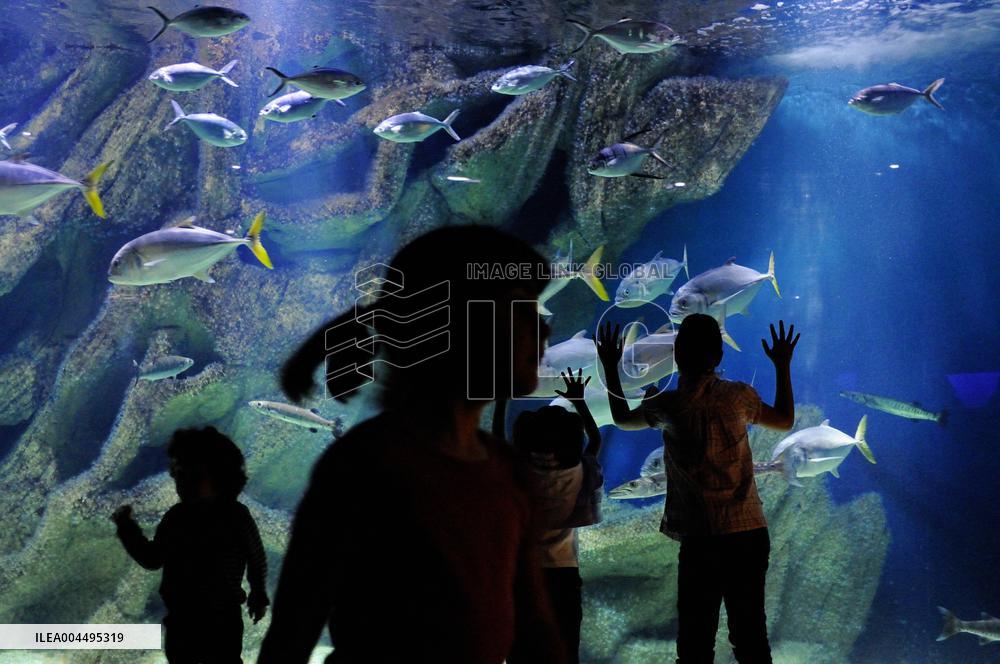 Illustration - La Rochelle