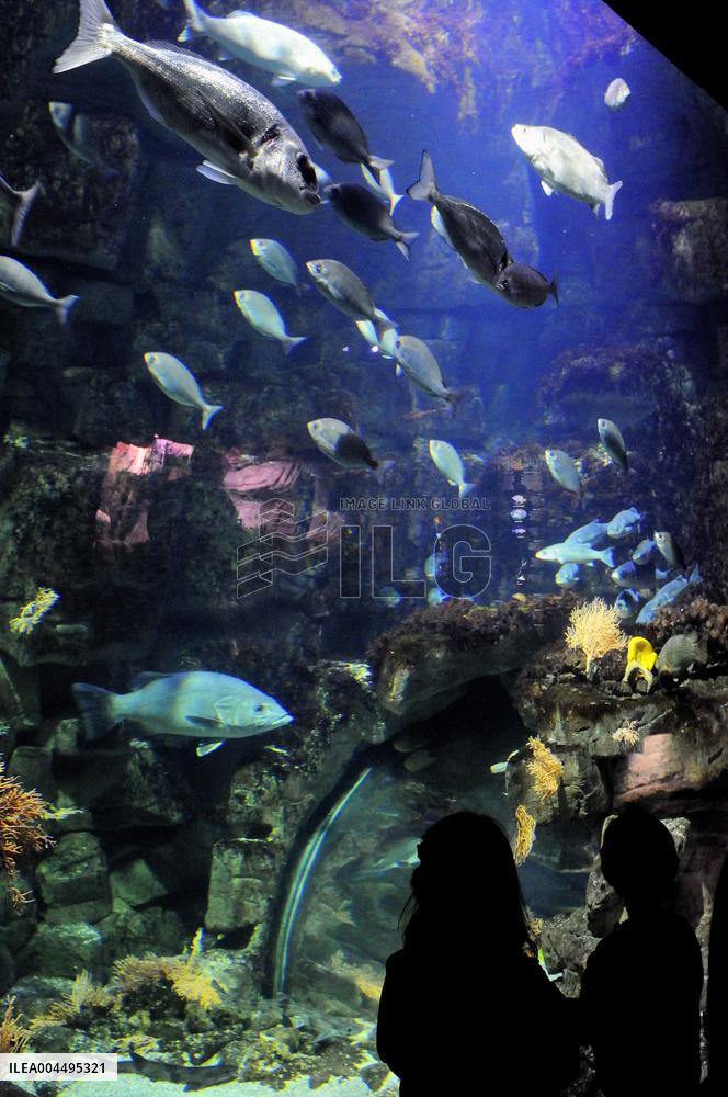 Illustration - La Rochelle