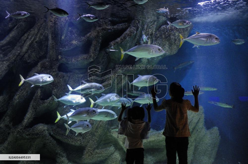 Illustration - La Rochelle