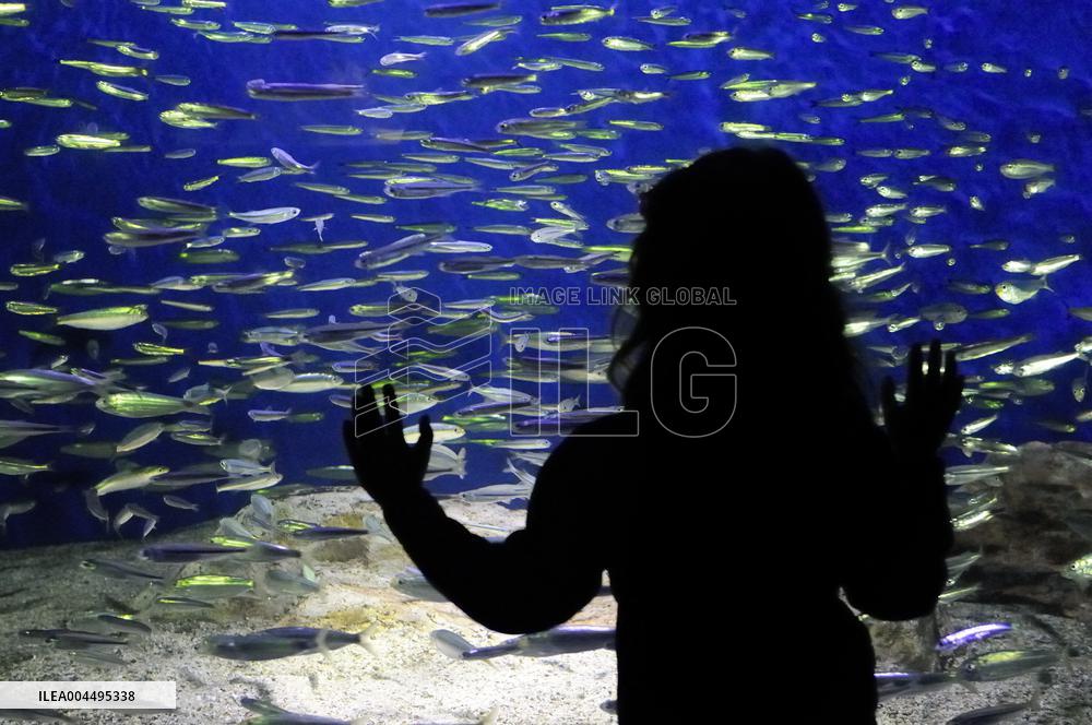 Illustration - La Rochelle