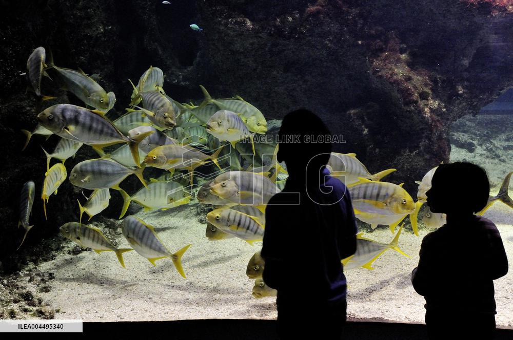 Illustration - La Rochelle