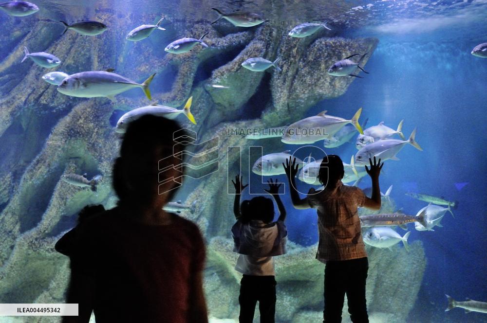 Illustration - La Rochelle