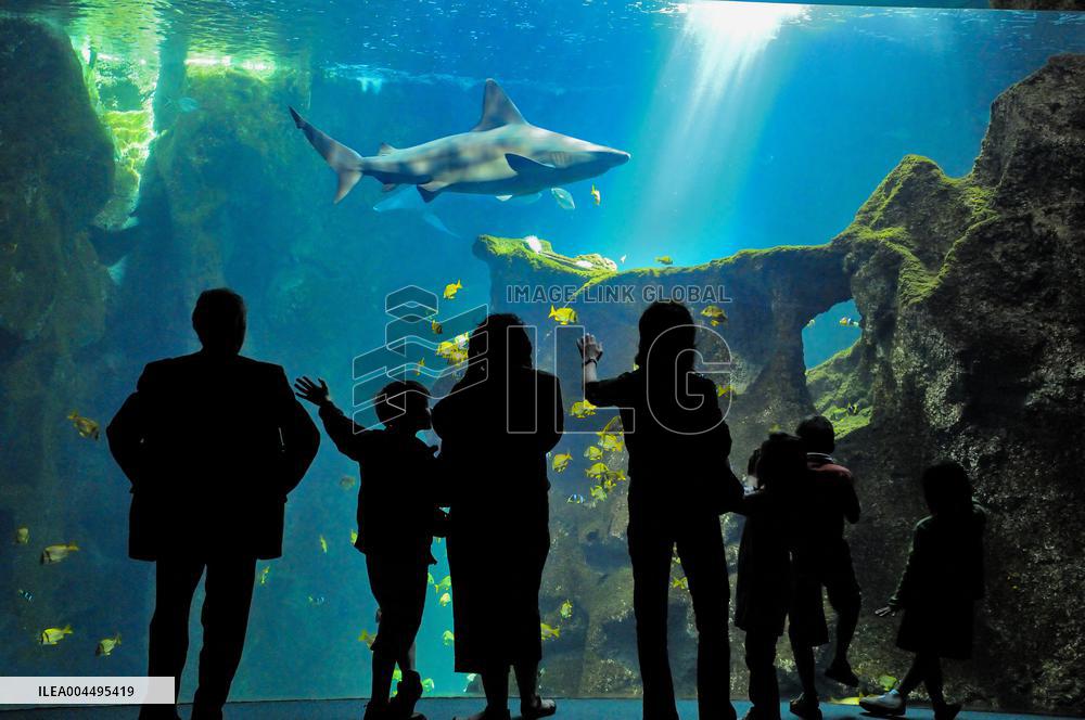 Illustration - La Rochelle