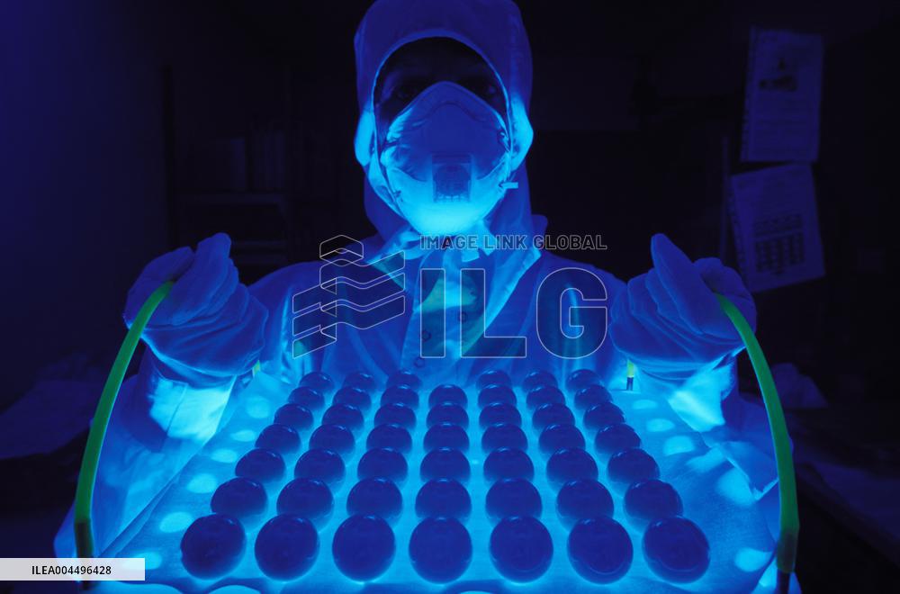 Illustration - Economy