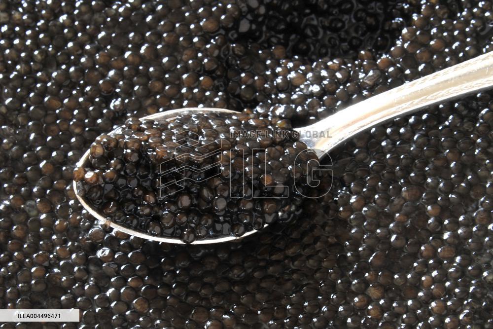 Illustration - Economy