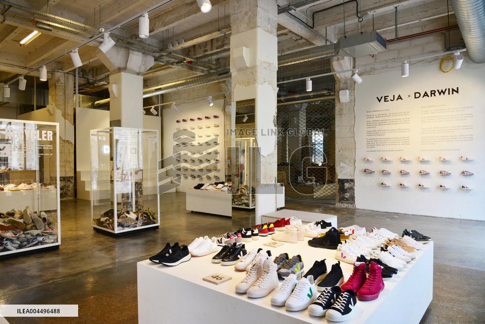 Illustration - Economy