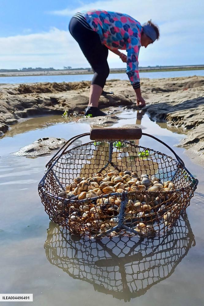 Illustration - Economy