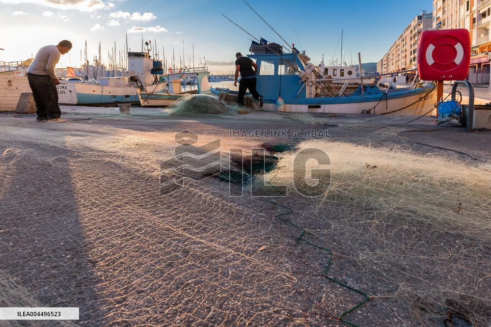 Illustration - Economy