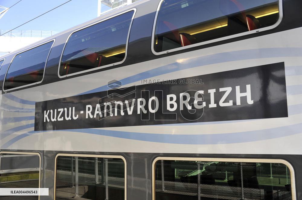 Illustration - Economy