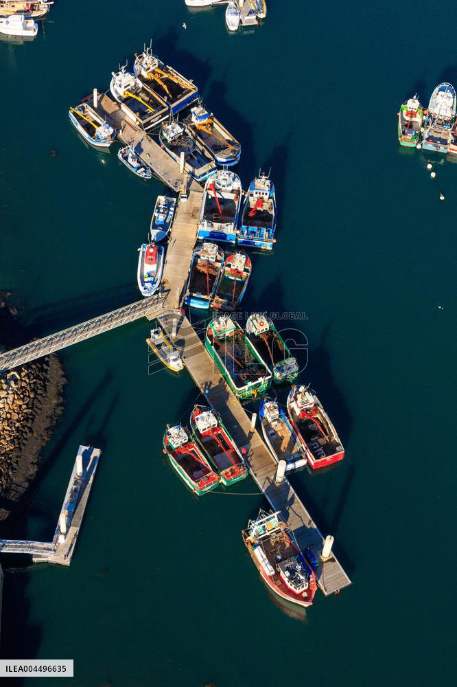 Illustration - Economy