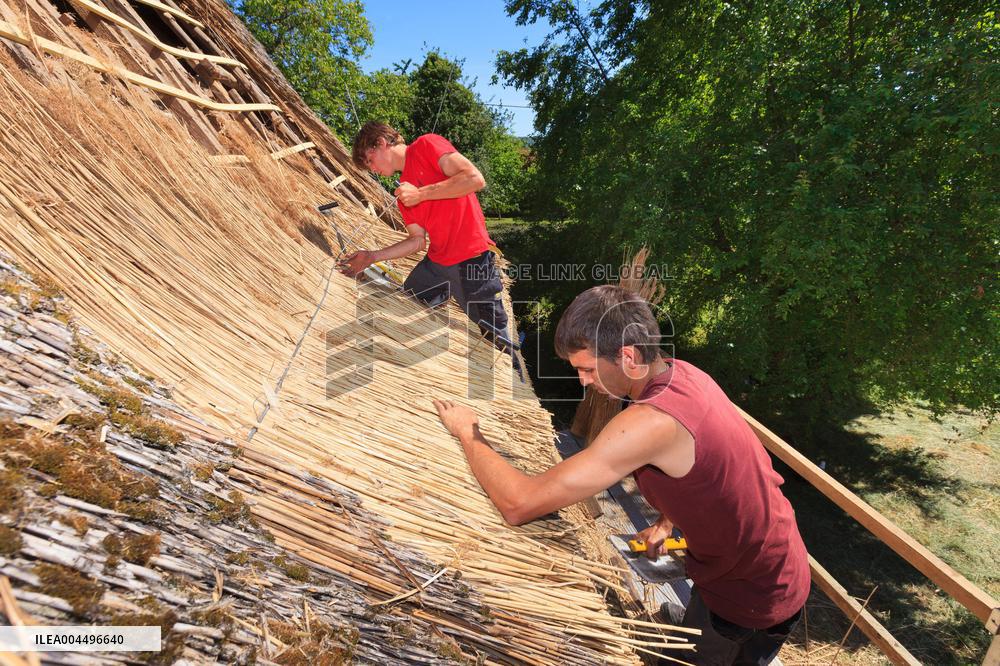 Illustration - Economy