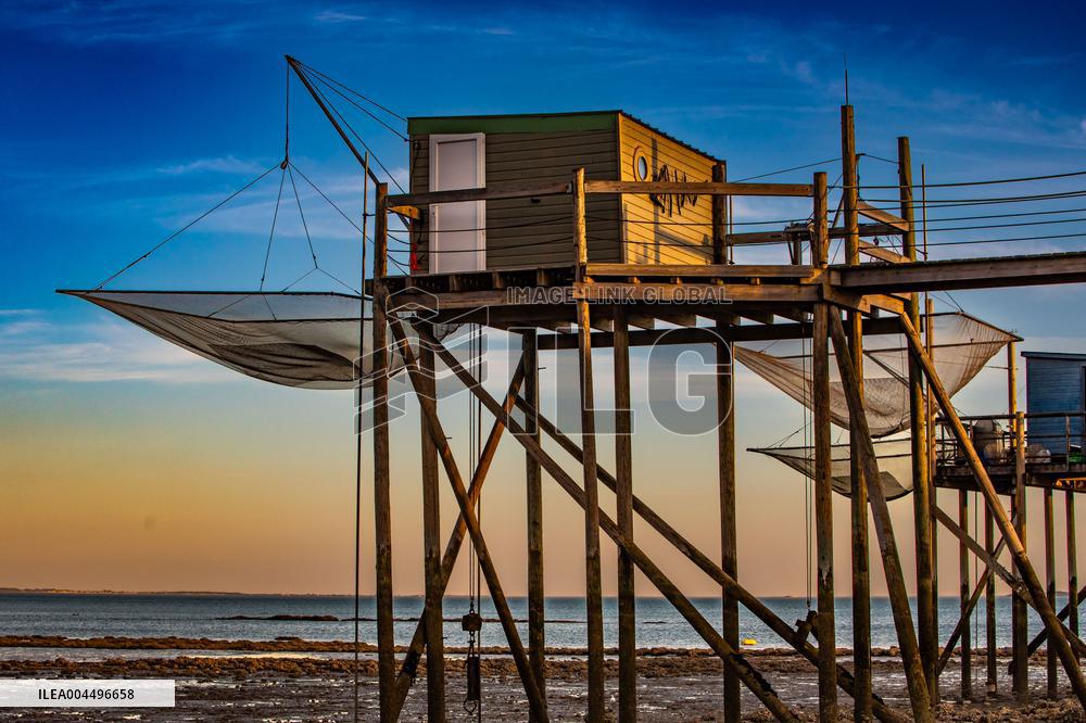 Illustration - Economy